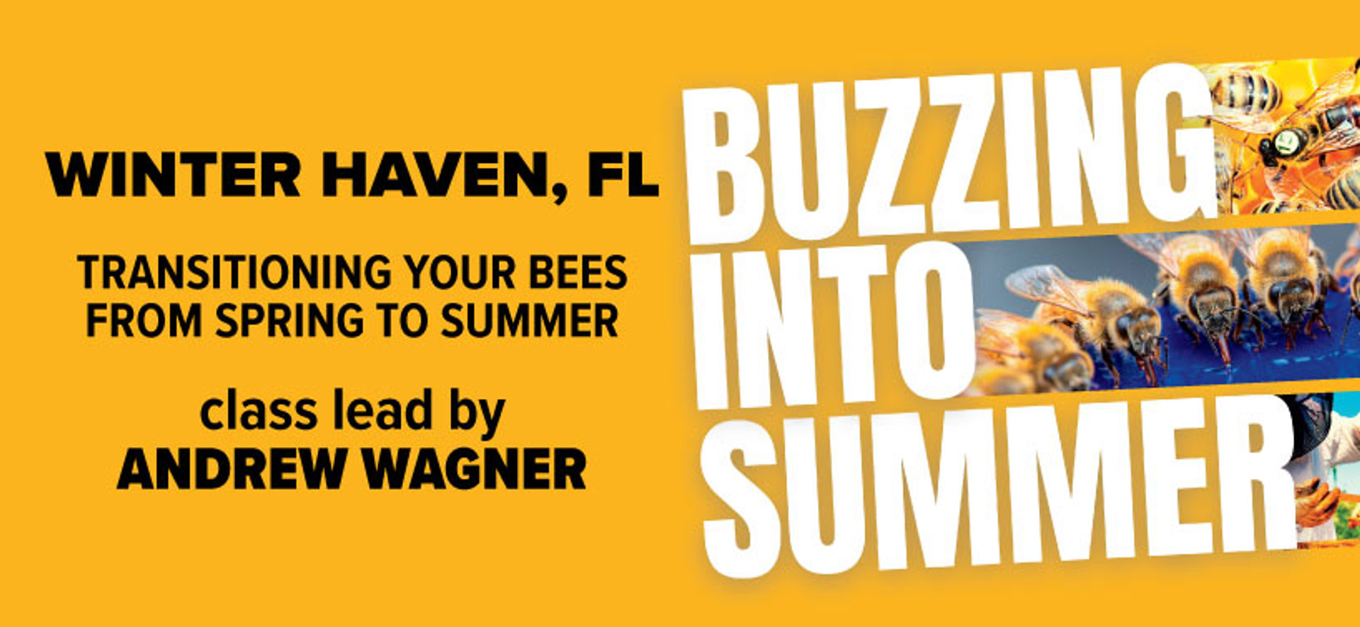 Beekeeping Classes - June 10th in Winter Haven, FL thumbnail image
