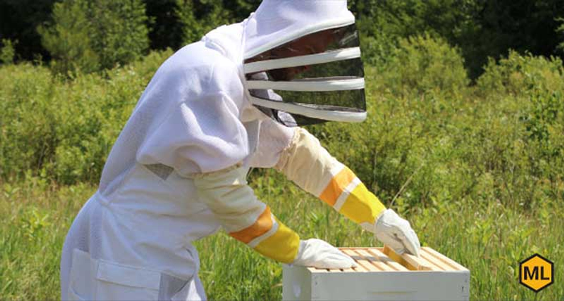 Local beekeeper shares how buying license plates helps honey bees
