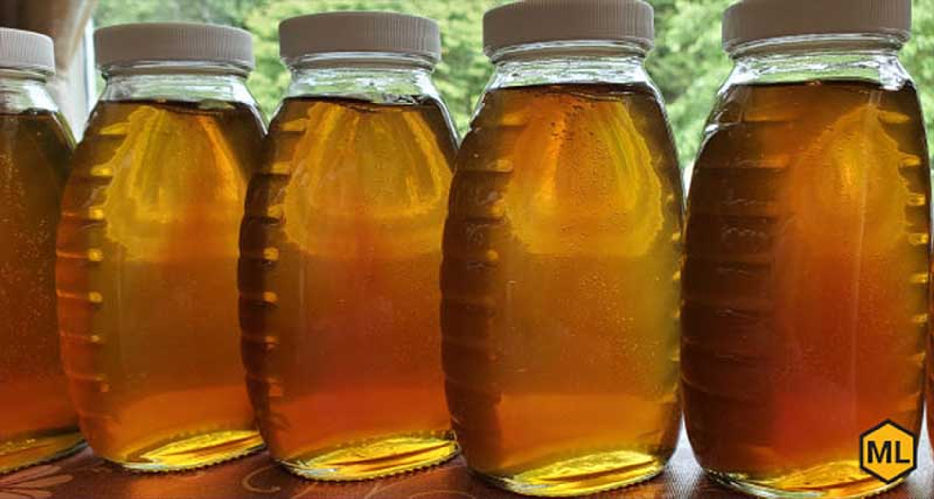 How To Make Money With Beekeeping thumbnail image