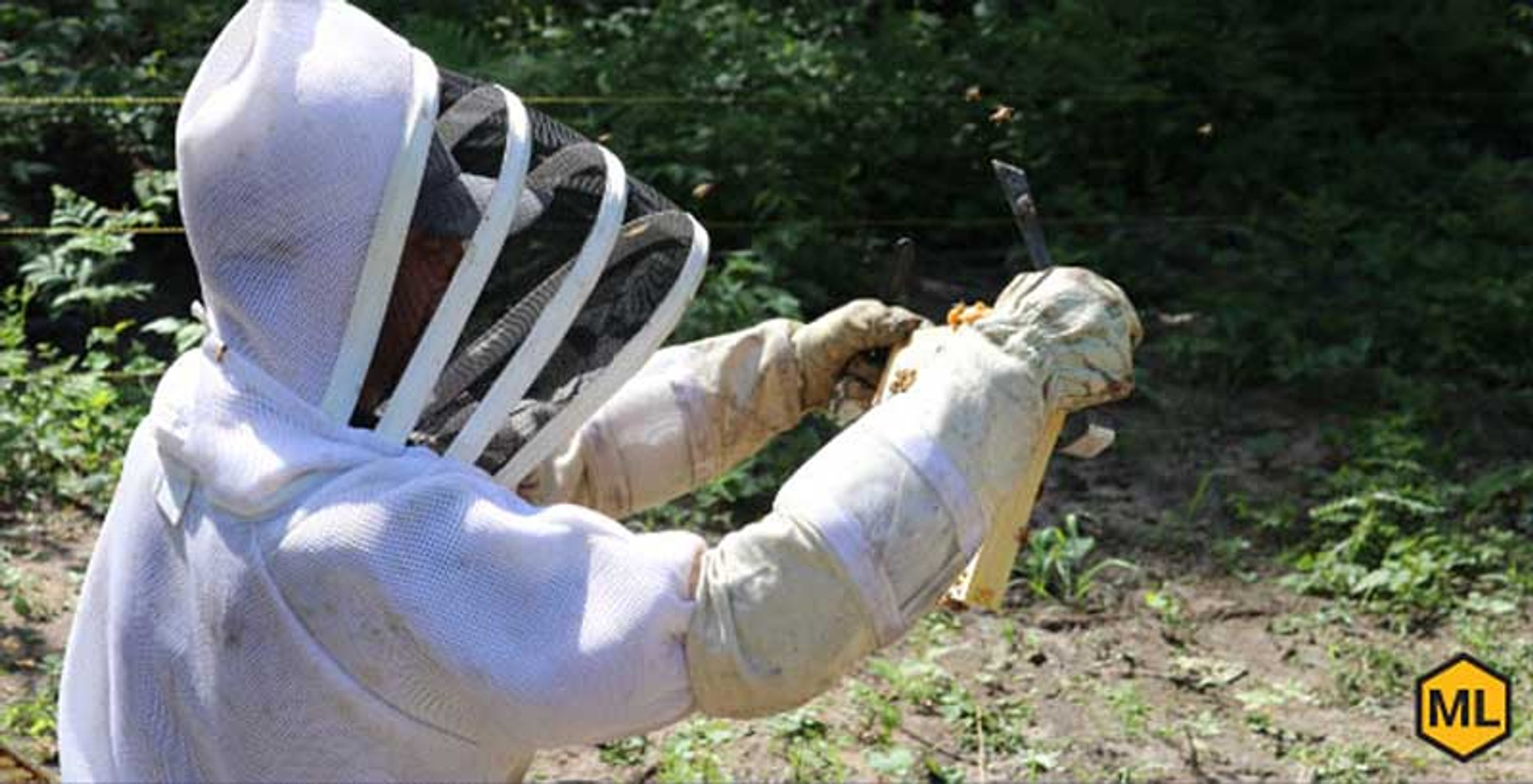 How To Overcome The Fear Of Stings When Beekeeping thumbnail image