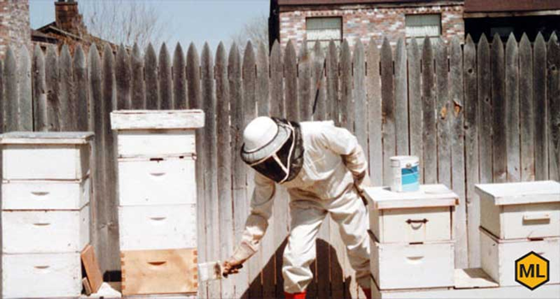 Tips For Painting Hives The Right Way thumbnail image