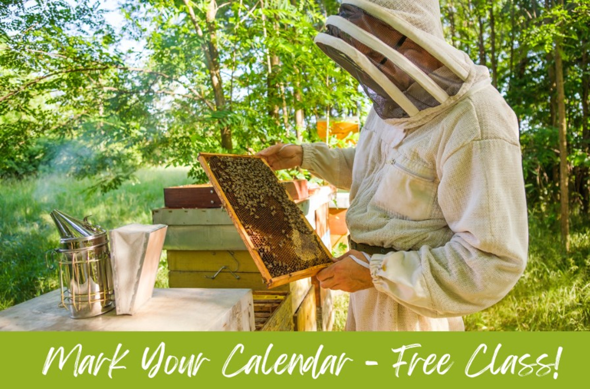 Beekeeping Classes - February 15, 2025 in Clarkson, KY thumbnail image