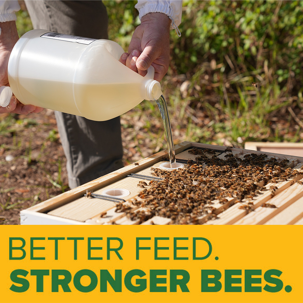 The Ultimate Guide to Honey Bee Syrup Feeders: Frame, Top, Entrance, and Baggie Feeders thumbnail image