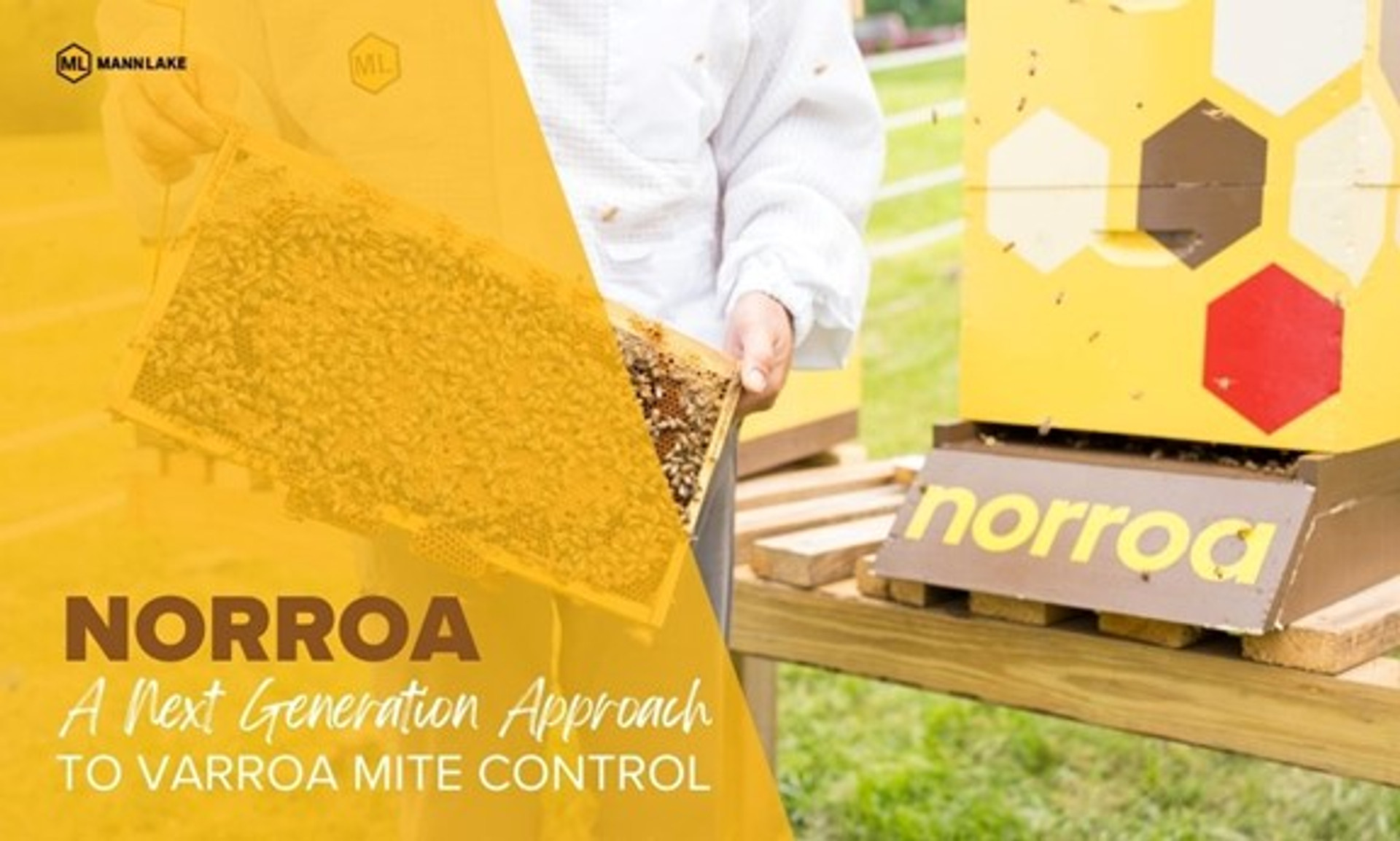 Norroa a Next Generation Approach to Varroa  Mite Control thumbnail image