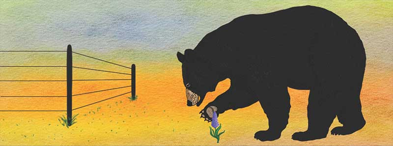 Pest Proofing thumbnail image