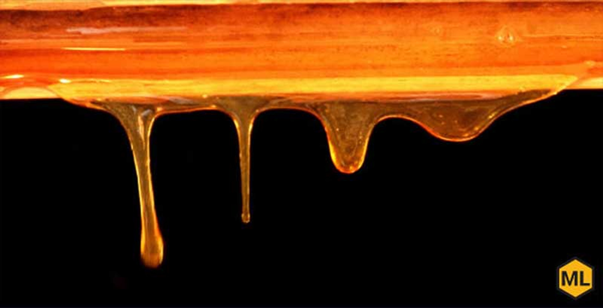 What’s the Difference: Raw Honey vs Processed Honey?  thumbnail image