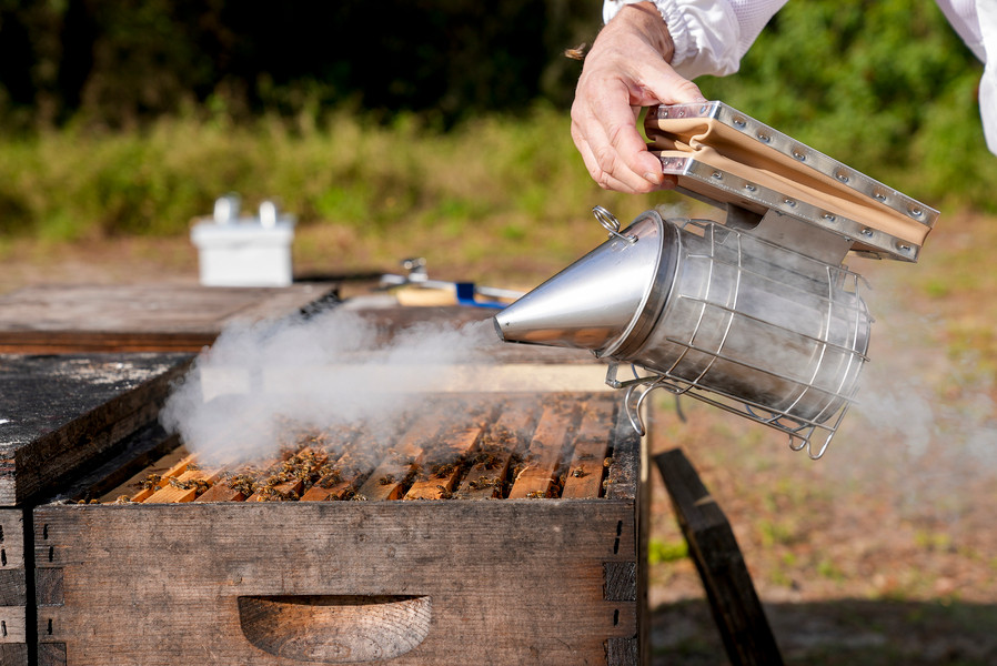 Essential Beekeeping Equipment: Beginner’s Gear thumbnail image