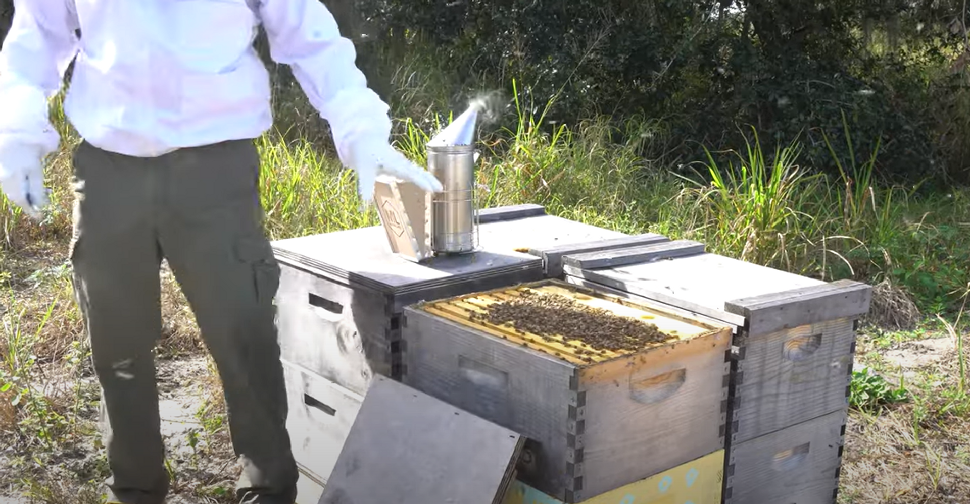 Spring Beekeeping: Preparing Your Hives for a Productive Season  thumbnail image