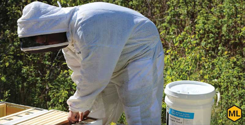 The Objective Of Fall Feeding thumbnail image