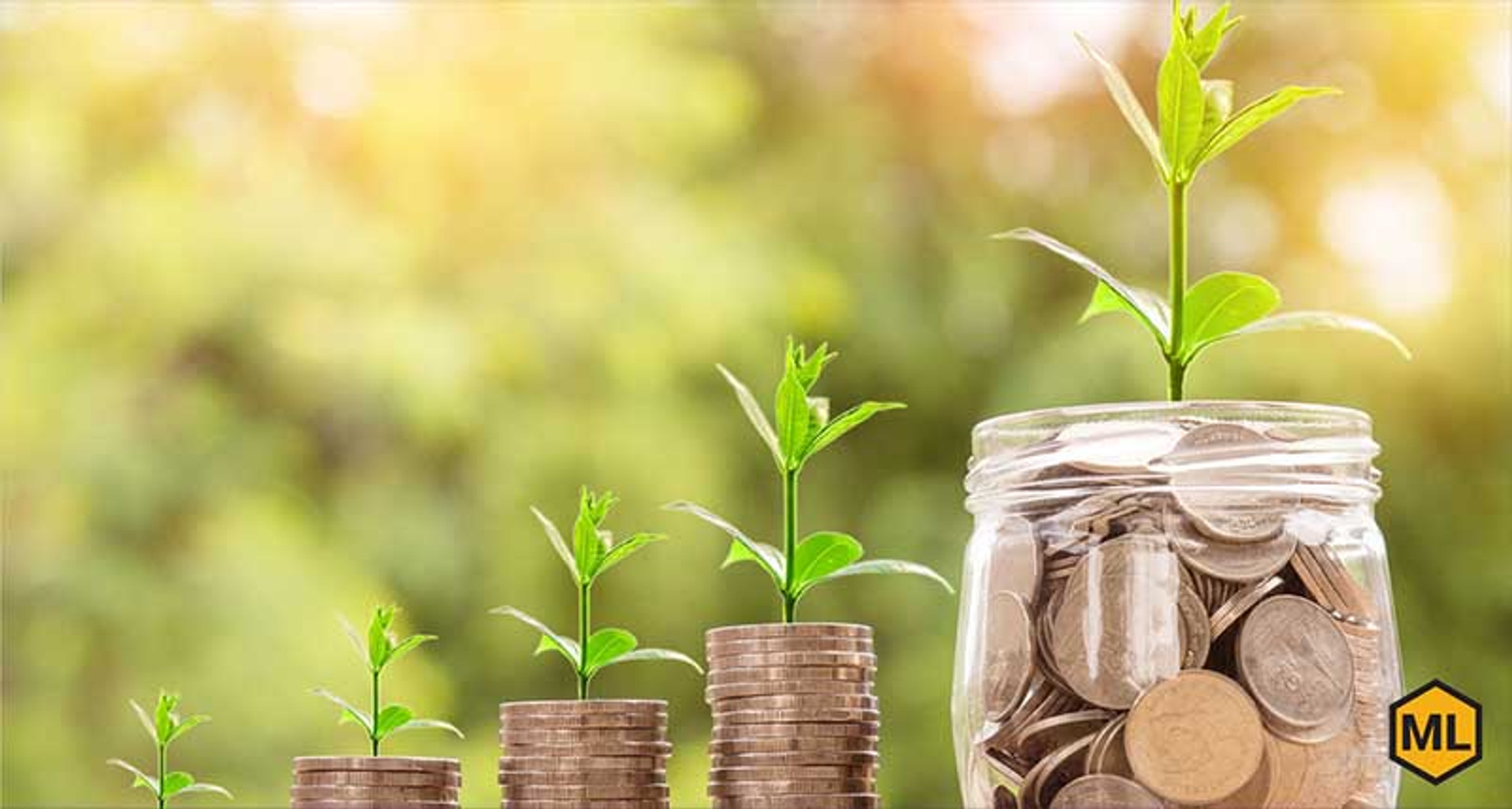 Thinking About Keeping Bees? Part 1: Costs, Time & Intangibles thumbnail image