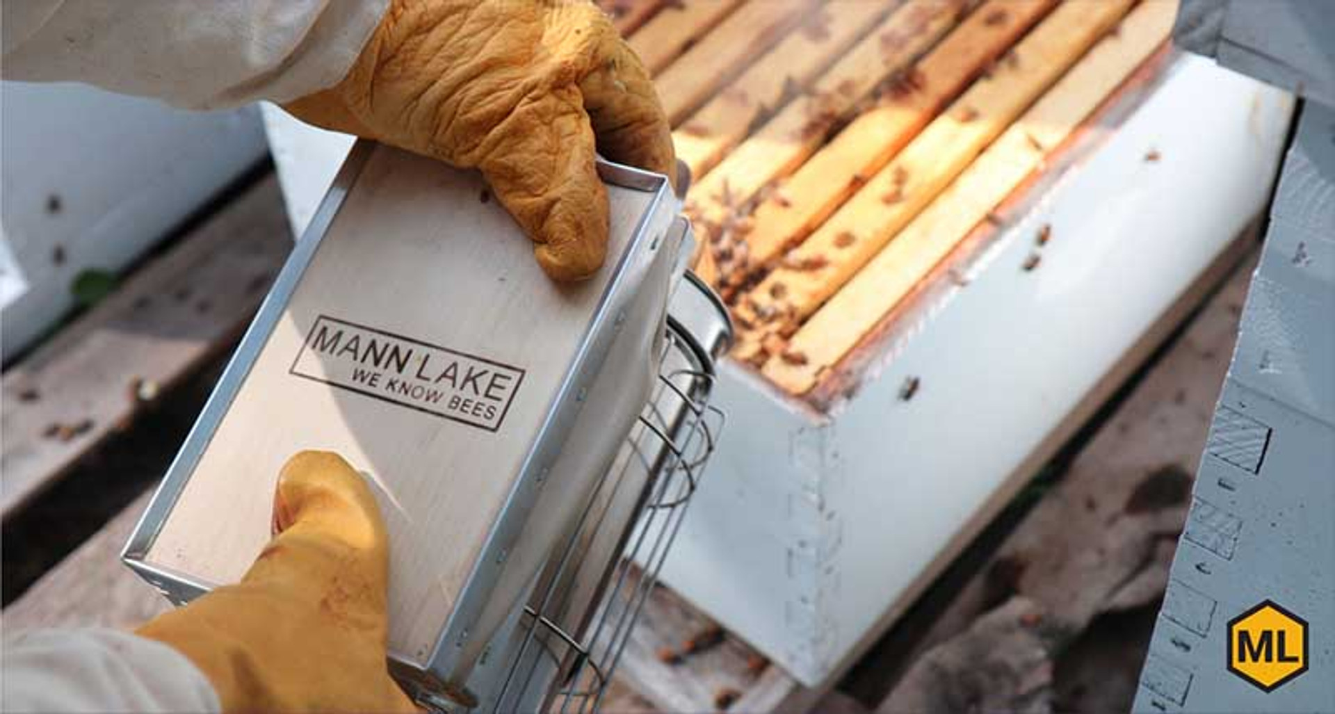 Thinking About Keeping Bees? Part 2: Varieties, Where to Put Them, and How to Get Them thumbnail image