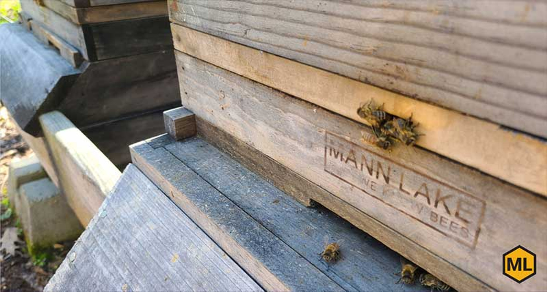 Thinking About Keeping Bees? Part 3: Preparing for Your Bees thumbnail image