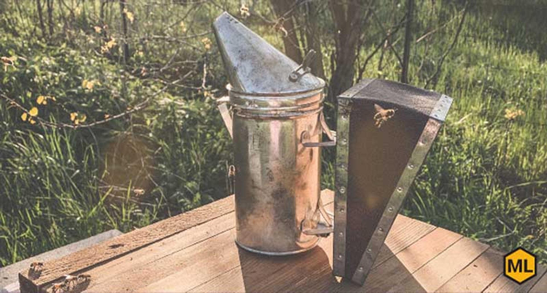 Top Tips For Safely Handling Honey Bees thumbnail image