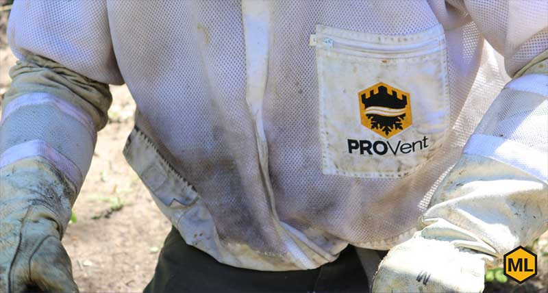 What Beekeeping Protective Clothing Do You Need? thumbnail image