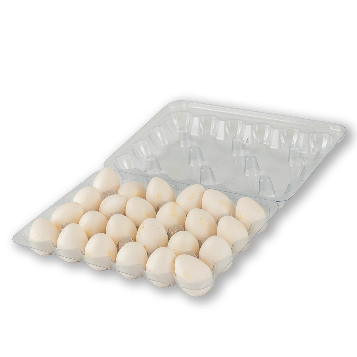 Large Blank Egg Cartons Mann Lake Large blank egg cartons mann lake