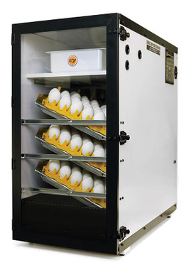 1502 Sportsman Cabinet Incubator for incubating chicken and game bird eggs.