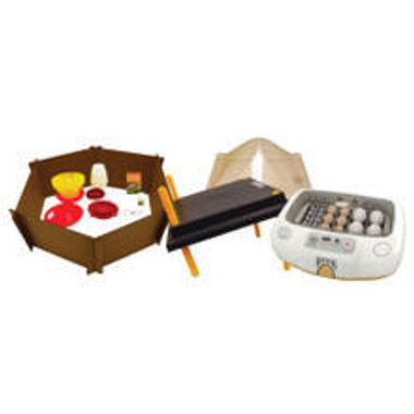 Baby Chick Care Package, Deluxe plus Incubator