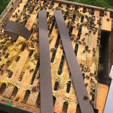 VarroxSan, 60 pack, DC803, Mann Lake Ltd.