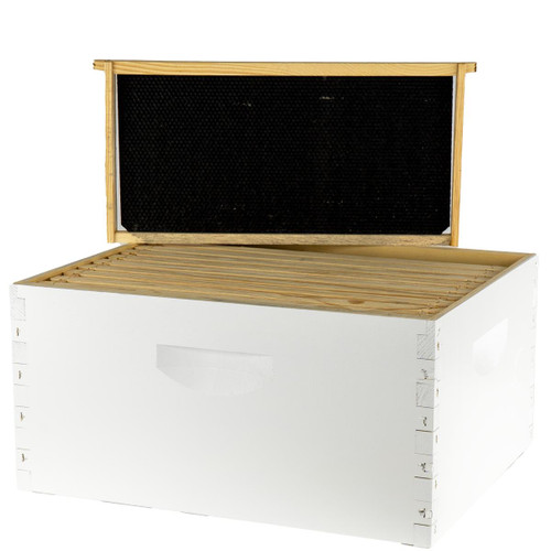 Assembled 9 5/8" Deep Hive Kit with Plastic Wax Coated Foundation and Assembled Frames