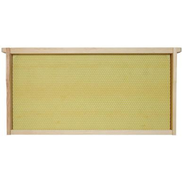 9 1/8" Assembled Frames with Natural Max Wax Rite-Cell Premium Foundation, Case of 20,WW903, Mann Lake Ltd.