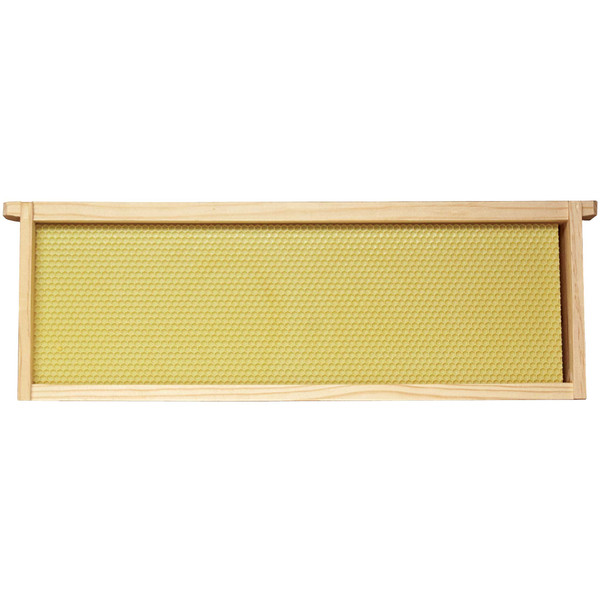 6 1/4" Assembled Frames with Waxed Rite-Cell Foundation, Single,Z240, Mann Lake Ltd.