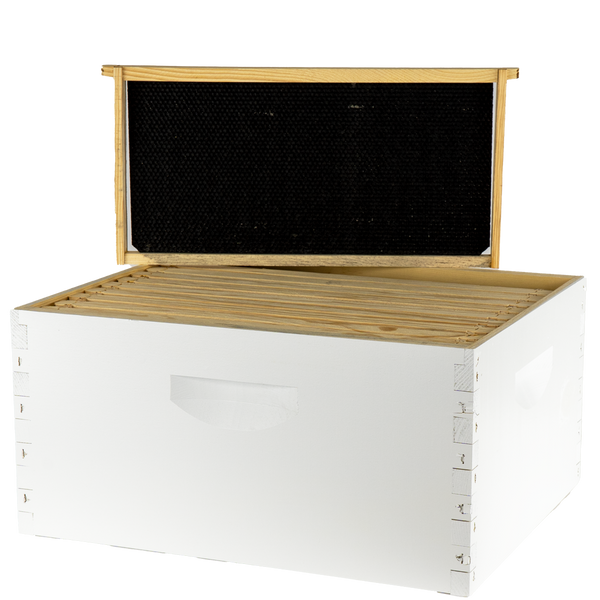 Assembled 9 5/8" Deep Hive Kit with Plastic Coated Foundation and Assembled Frames,Z194, Mann Lake Ltd.