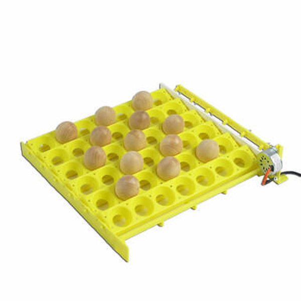 GQF 1610 Hova-Bator Automatic Egg Turner with Quail and Universal "Chicken Egg" Racks,PP136, Mann Lake Ltd.