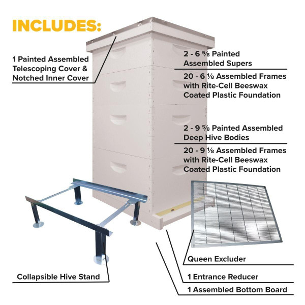 BEE-HIVE フライヤー他　全4点 My Next Hive, Assembled