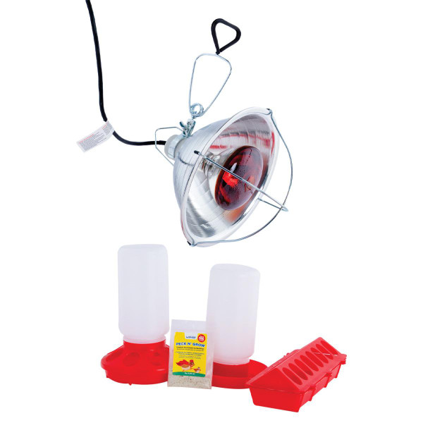 Economy Brooder Kit
