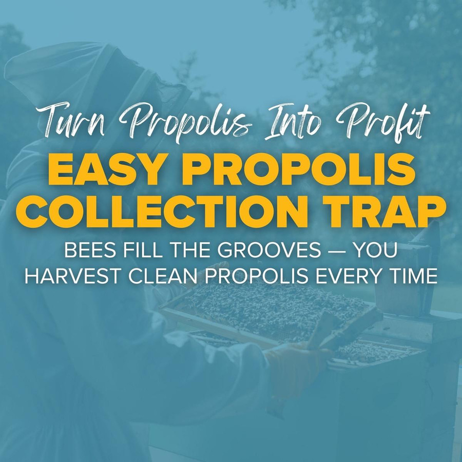 10 Frame Flexible Propolis Trap,HD368, Mann Lake Ltd.