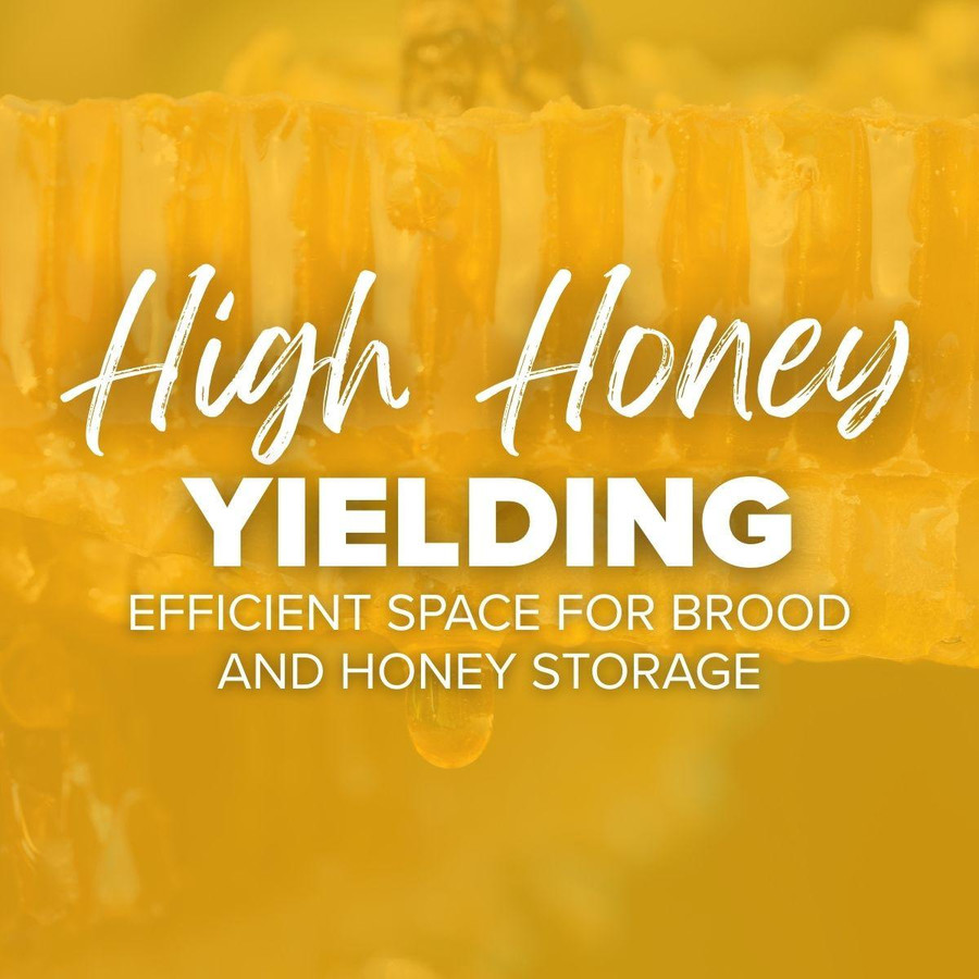 10 Frame Complete Hive Kit Combo,Z319, Mann Lake Ltd.