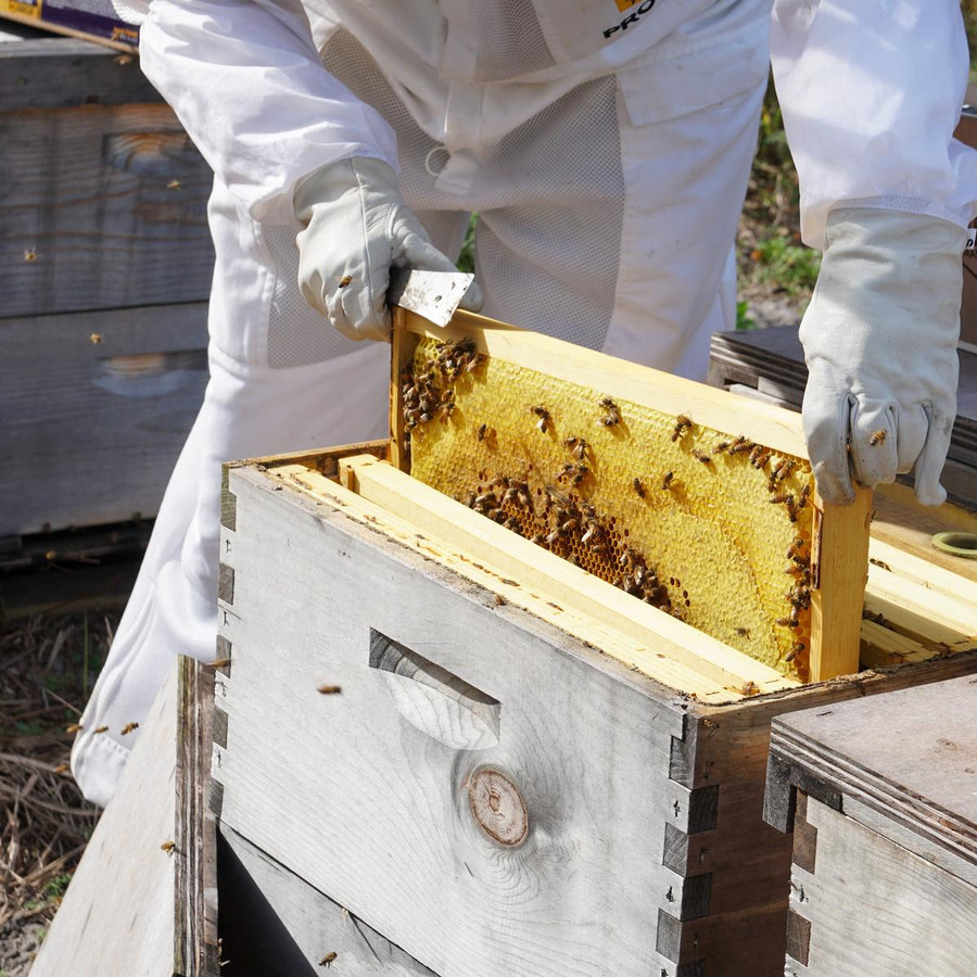 Unassembled 9 5/8" Commercial Grade Deep Hive Box, Case of 5,Z811, Mann Lake Ltd.