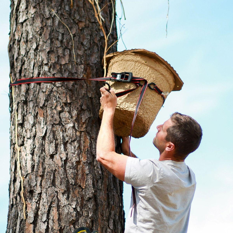 Bee Swarm Trap,HD375, Mann Lake Ltd.