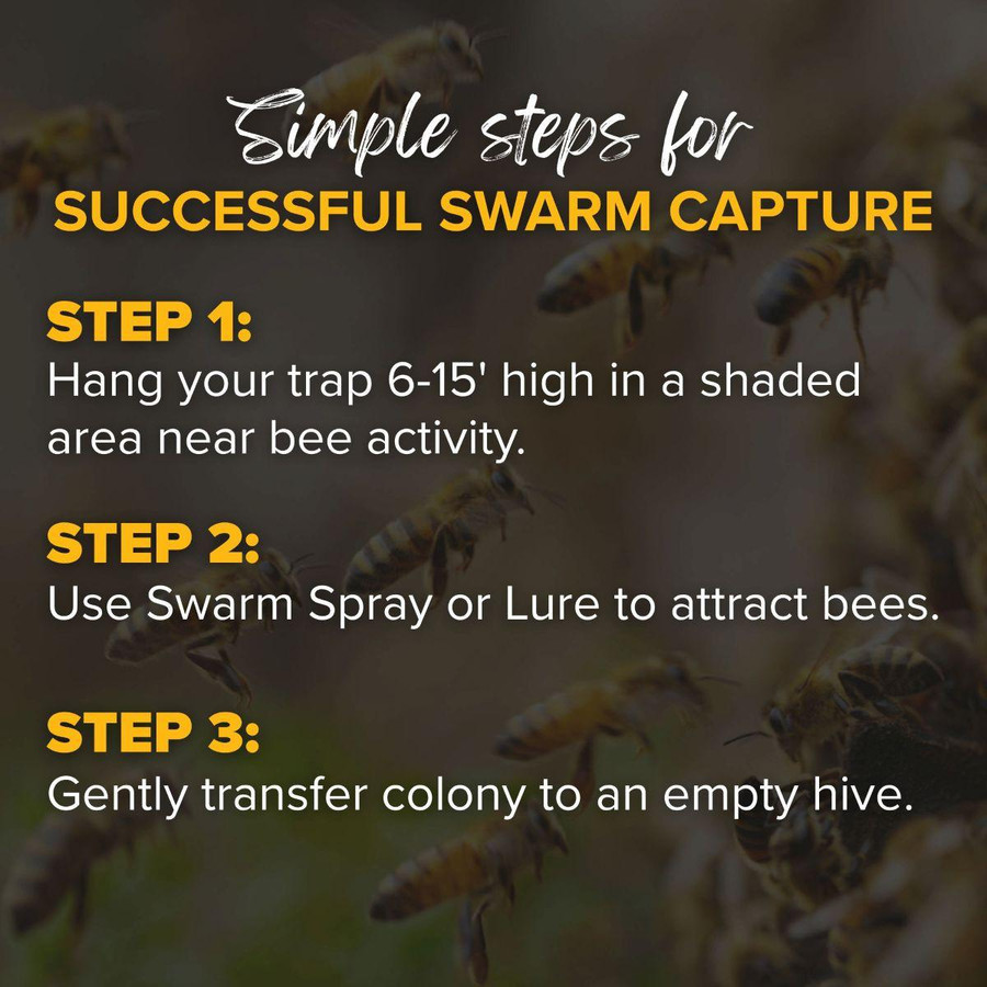 Bee Swarm Trap,HD375, Mann Lake Ltd.