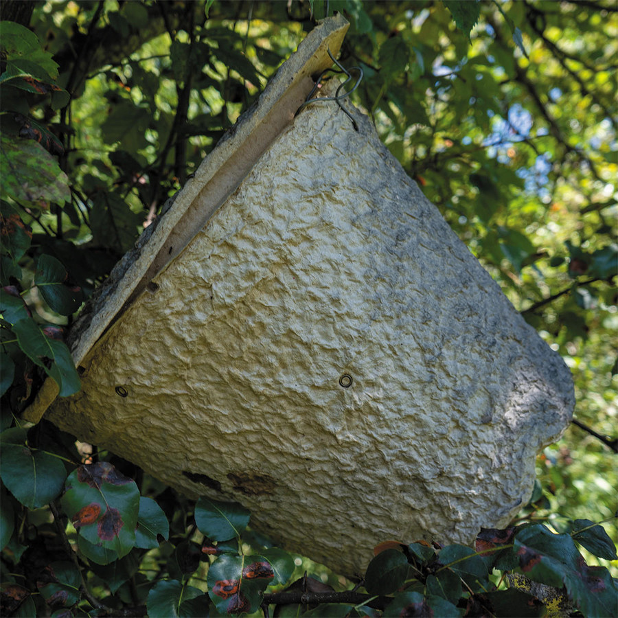 Bee Swarm Trap Bee Swarm Trap
