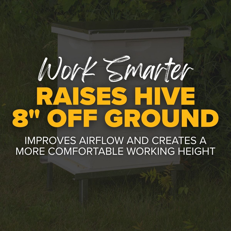 Collapsible Hive Stand,HD709, Mann Lake Ltd.