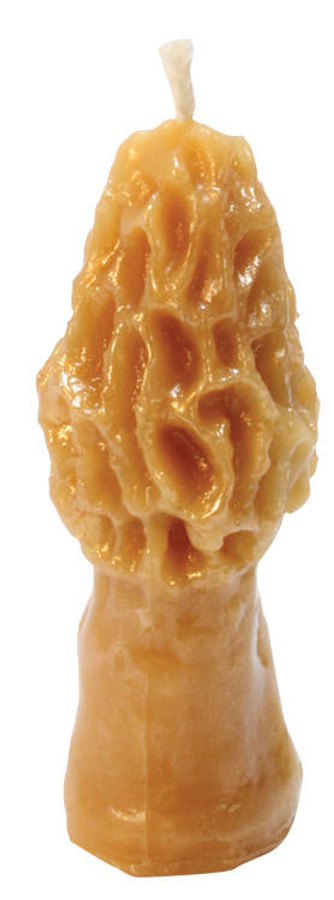 Mann Lake Morel Mushroom Beeswax Candle Mold