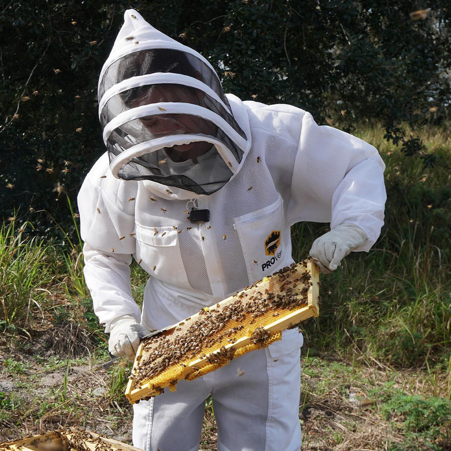 ProVent Beekeeping Suit,Z330, Mann Lake Ltd.
