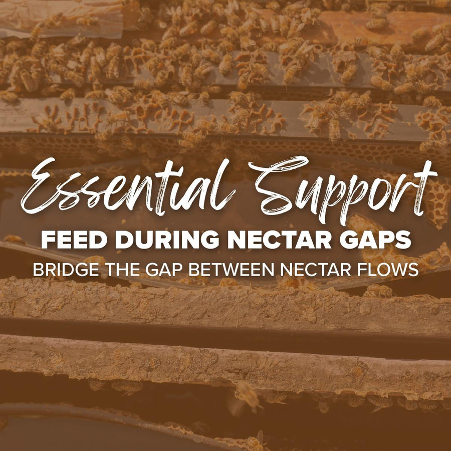 Pro Health Feeding Supplement with Essential Oils,Z370, Mann Lake Ltd.