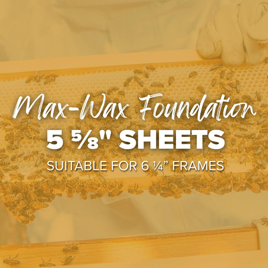 5 5/8" Natural Max Wax Rite-Cell Premium Foundation, 10 pack,FN721, Mann Lake Ltd.