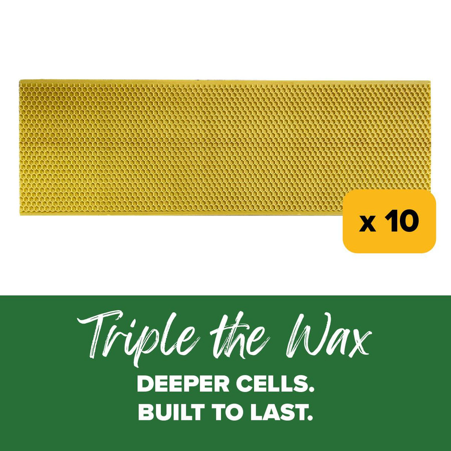 5 5/8" Natural Max Wax Rite-Cell Premium Foundation, 10 pack,FN721, Mann Lake Ltd.