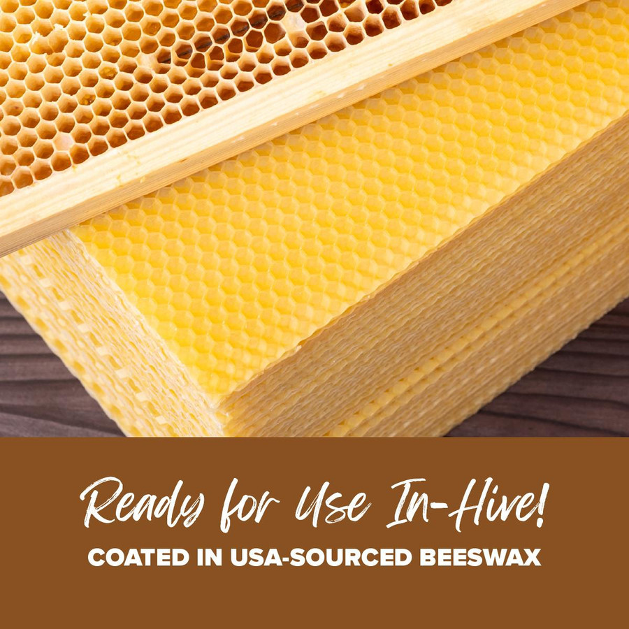 5 5/8" Natural Max Wax Rite-Cell Premium Foundation, 10 pack,FN721, Mann Lake Ltd.