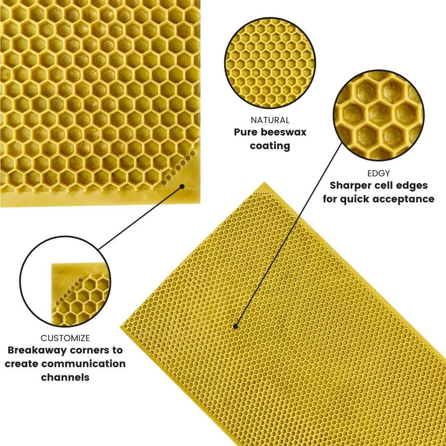 8 1/2" Natural Max Wax Rite-Cell Premium Foundation, Natural,Z654, Mann Lake Ltd. 8 1/2" Natural Max Wax Rite-Cell Premium Foundation, Natural,Z654, Mann Lake Ltd.