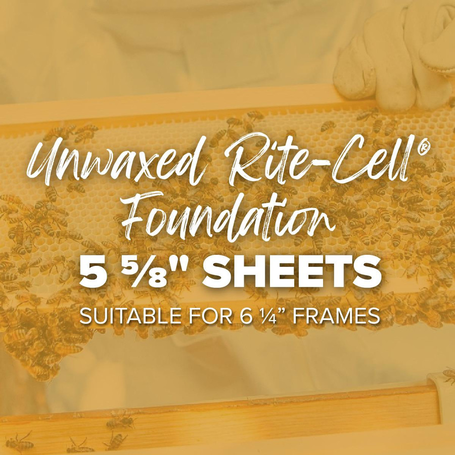 5 5/8" Natural Unwaxed Rite-Cell® Foundation, Natural