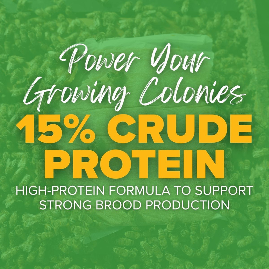 Ultra Bee High Protein Pollen Substitute Patties, Bulk Container,FD376, Mann Lake Ltd.