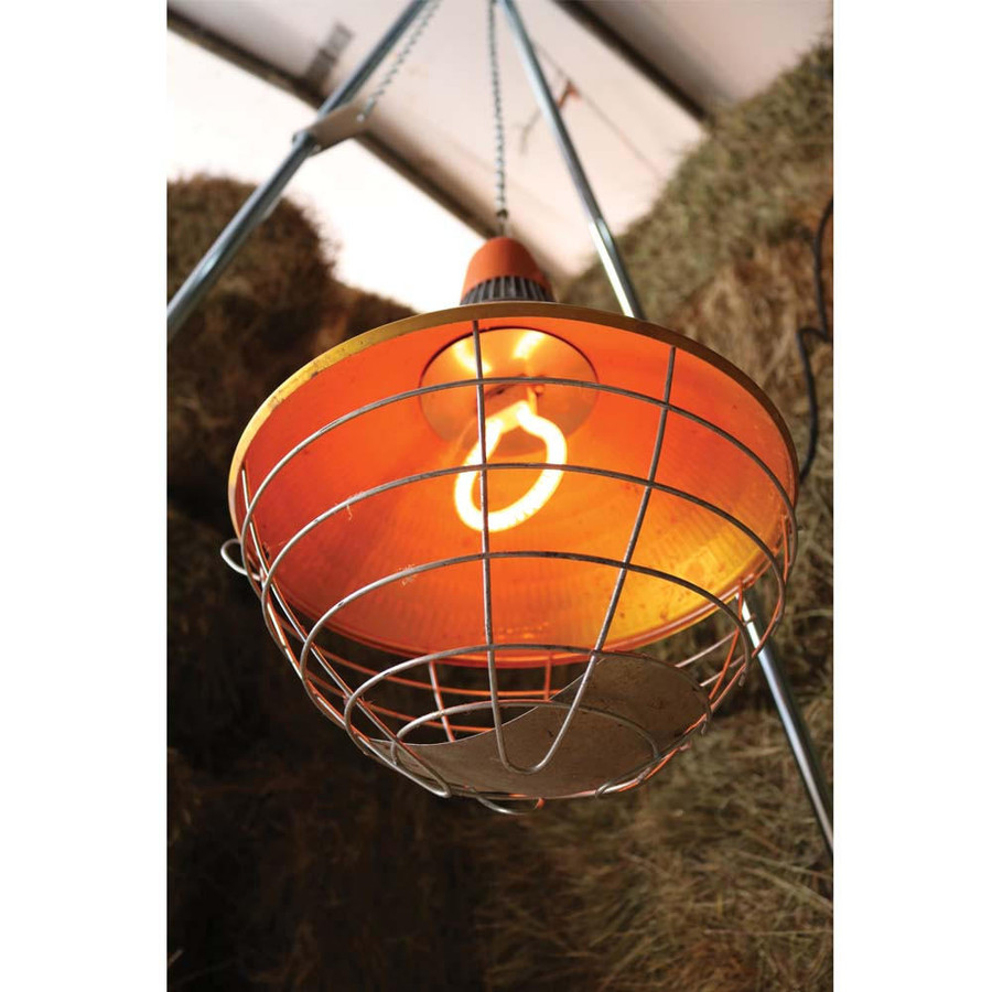 Carbon Fiber Coop Heater with Bulb,Z422, Mann Lake Ltd.