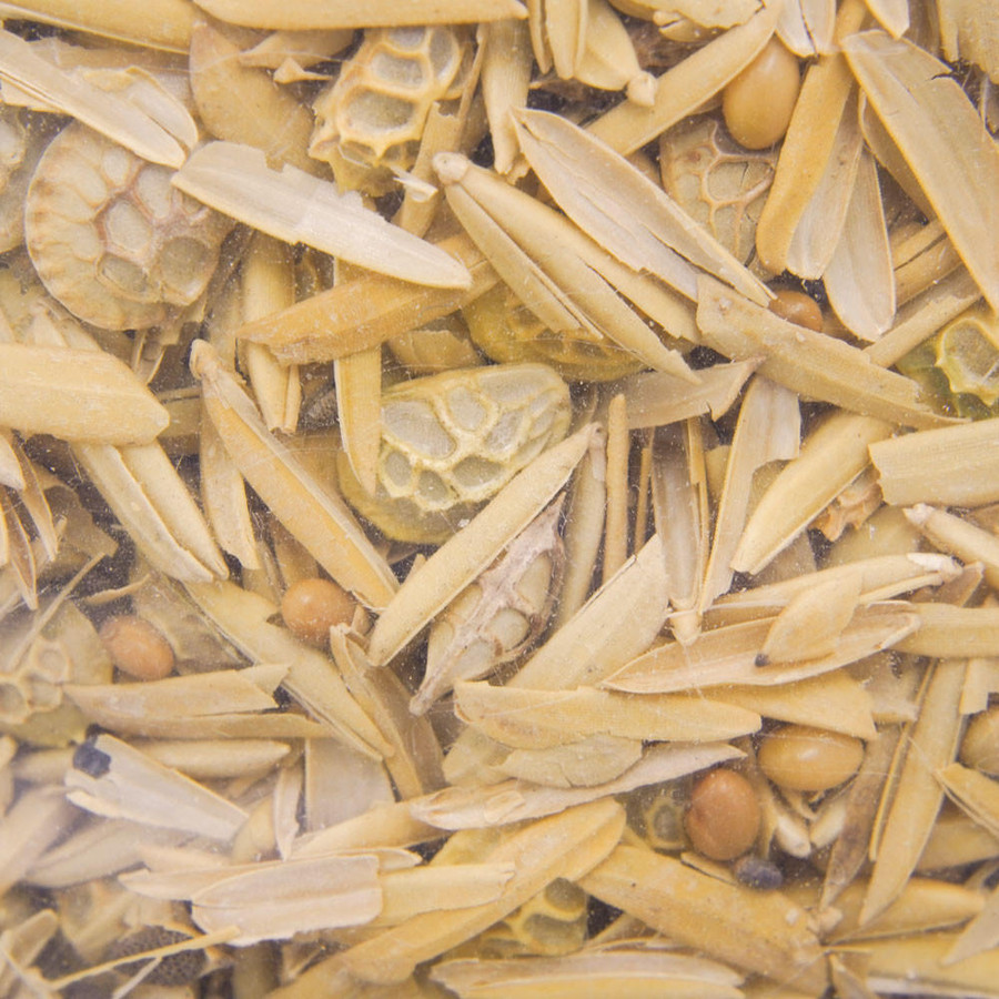 Bee Lawn - Pollinator Friendly Seed Mix - 50 lb Bag,GW107, Mann Lake Ltd. Bee Lawn - Pollinator Friendly Seed Mix - 50 lb Bag,GW107, Mann Lake Ltd.