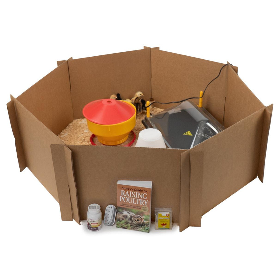 Baby Chick Care Package, Deluxe