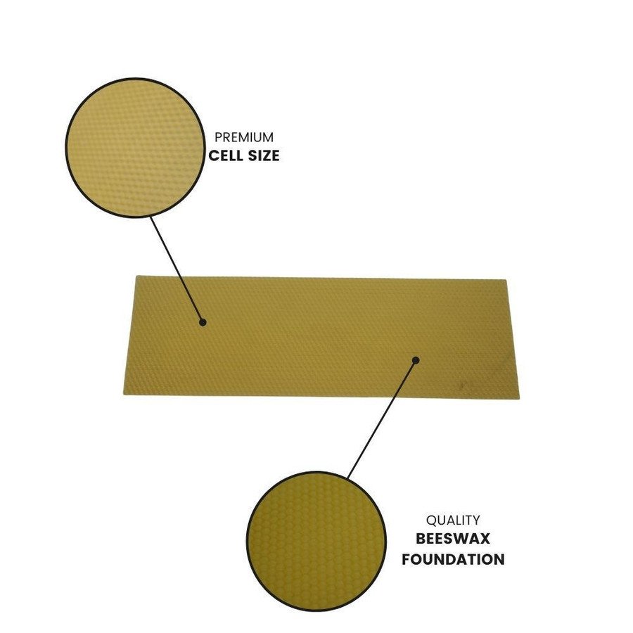 5 5/8" X 16 3/4" (14.29 cm x 42.55 cm) Medium Brood Foundation,Z150, Mann Lake Ltd.