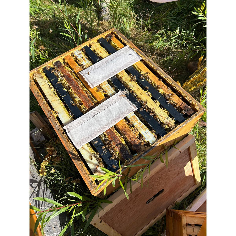 Formic Pro - Varroa Treatment,Z612, Mann Lake Ltd. Formic Pro - Varroa Treatment,Z612, Mann Lake Ltd.